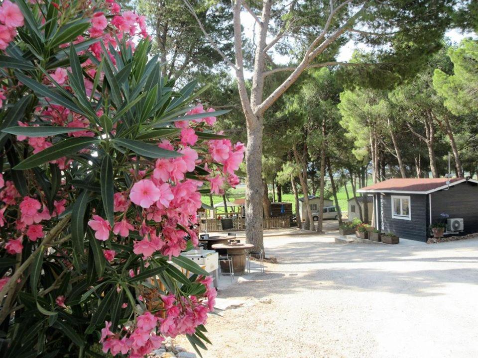 Camping Le Bois De Pins Salses-le-Château Buitenkant foto
